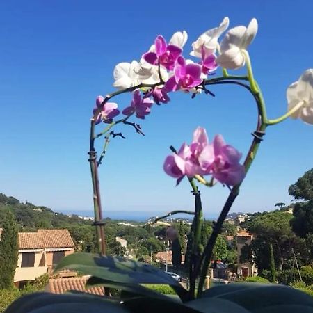 Hameau Du Soleil Daire Cavalaire-sur-Mer Dış mekan fotoğraf